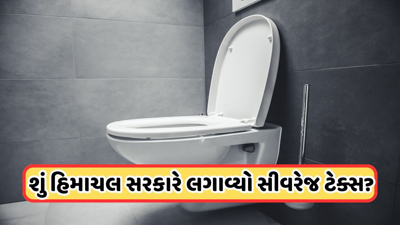 શું હિમાચલમાં ઘરના શૌચાલયની સીટ પર ચૂકવવો પડશે ટેક્સ? આવ્યો સુખુ સરકારનો ખુલાસો