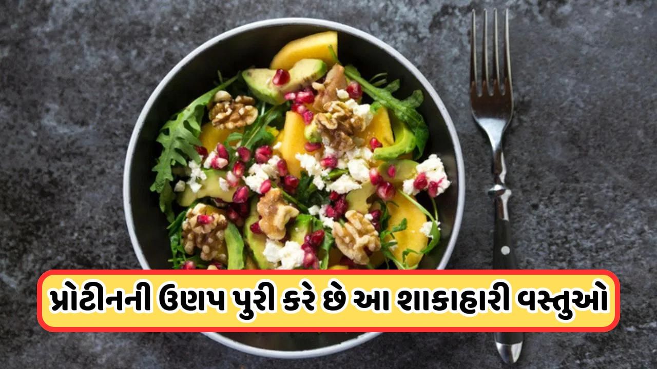 Health Tips: નવરાત્રિમાં ખાઓ આ શાકાહારી વસ્તુઓ, શરીરમાં નહીં થાય પ્રોટીનની ઉણપ