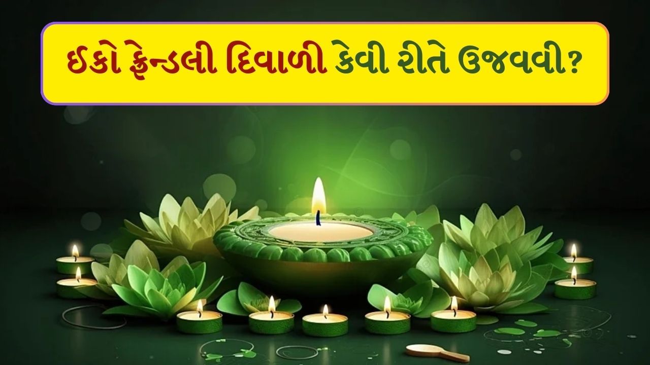 Eco Friendly Diwali : દિવાળીના તહેવારને લોકો ખૂબ જ ધામધૂમથી ઉજવે છે. આ તહેવાર આનંદ, પ્રકાશ અને અનિષ્ટ પર સારાની જીતનું પ્રતિક છે, લોકો તેમના ઘરની સફાઈથી લઈને કપડાંની ખરીદી કરવા માટે અગાઉથી તૈયારીઓ શરૂ કરે છે. 