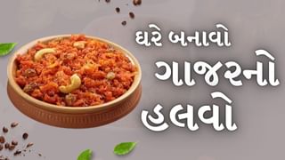 Gajar Carrot Halwa : દિવાળી પર ઘરે આ રેસીપી અપનાવી બનાવો ગાજરનો હલવો, જુઓ તસવીરો