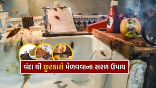 Get Rid From Cockroaches : ગાયબ થઈ જશે ઘરના ખૂણે ખૂણે છુપાયેલા વંદા, અજમાવો આ 6 ટિપ્સ