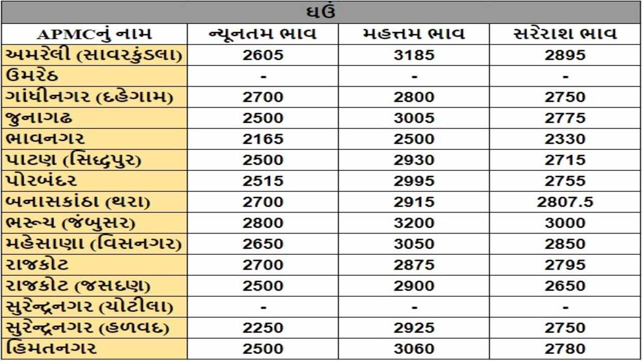 ઘઉંના તા.03-10-2024ના રોજ APMCના ભાવ રૂ.2165 થી 3200 રહ્યા.