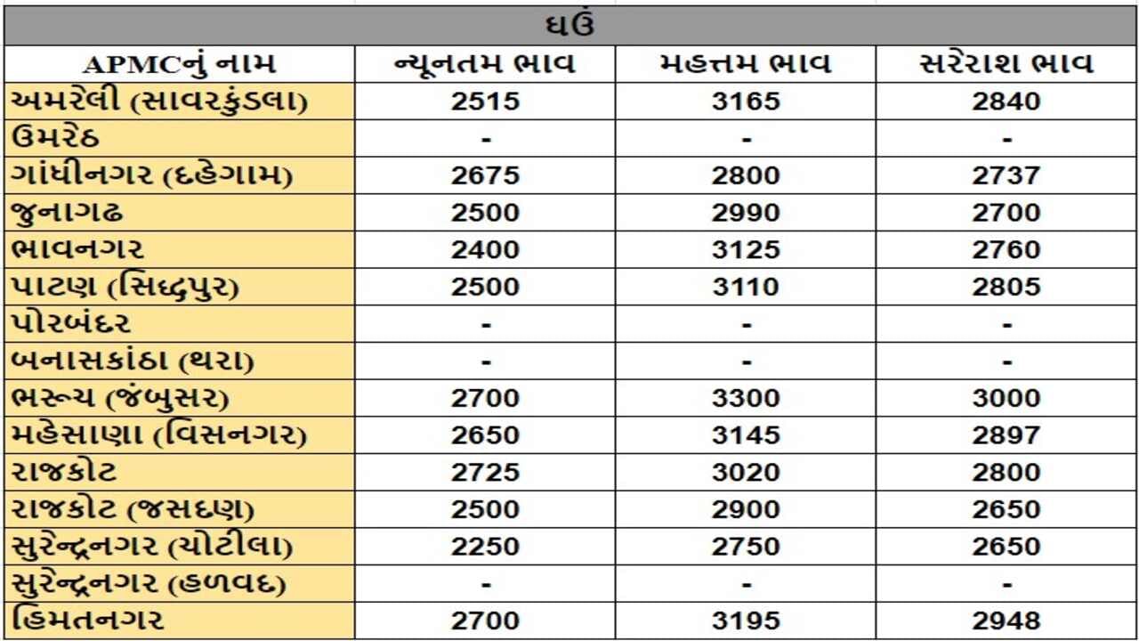 ઘઉંના તા.14-10-2024ના રોજ APMCના ભાવ રૂ.2250 થી 3300 રહ્યા.