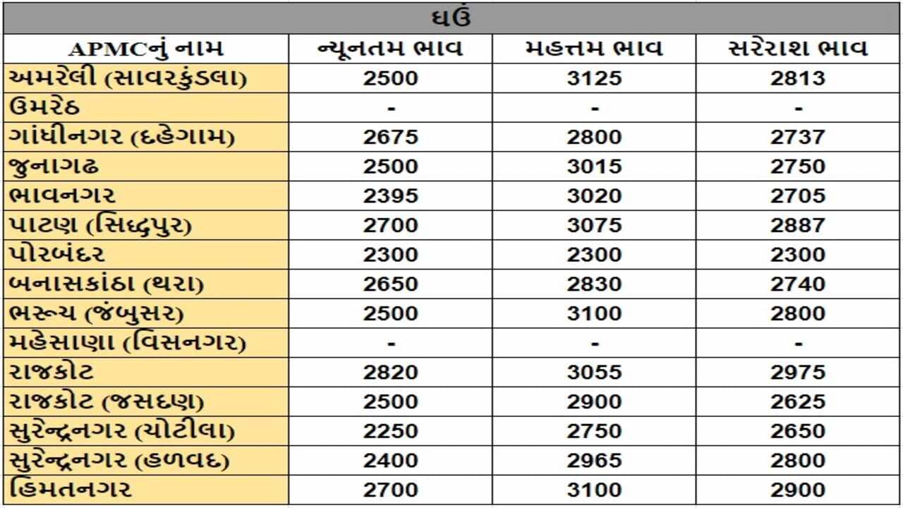 ઘઉંના તા.16-10-2024ના રોજ APMCના ભાવ રૂ.2250 થી 3125 રહ્યા.