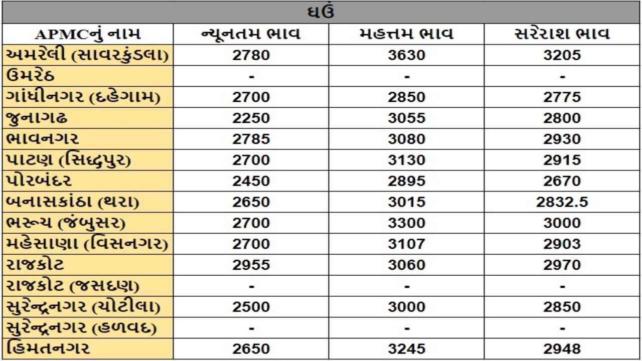 ઘઉંના તા.22-10-2024ના રોજ APMCના ભાવ રૂ.2250 થી 3630 રહ્યા.