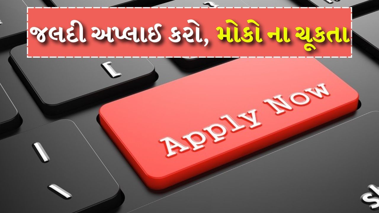 જો તમે પણ સરકારી નોકરીની તૈયારી કરી રહ્યા છો, તો તમારા માટે આ એક સારી તક છે. રેલવે, પોલીસ વિભાગ અને સરકારી બેંકોમાં હજારો જગ્યાઓ માટે ભરતી છે, જેના માટે પાત્ર અને રસ ધરાવતા ઉમેદવારો પાસેથી અરજીઓ મંગાવવામાં આવી છે. ઉમેદવારો તેની ઓફિશિયલ વેબસાઇટની મુલાકાત લઈને સંબંધિત વિભાગમાં ભરતી માટે અરજી કરી શકે છે. ચાલો જાણીએ કે કયા વિભાગમાં કેટલી ભરતીઓ કરવામાં આવી છે? આ ભરતીઓમાં RRB NTPC ભરતી, RRB JE ભરતી, SBI વિશેષજ્ઞ કેડર અધિકારી ભરતી, કેનેરા બેંક અને હિમાચલ પ્રદેશ પોલીસ વગેરેનો સમાવેશ થાય છે.
