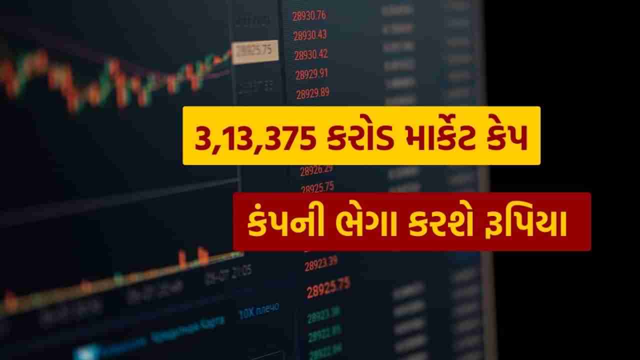 17,49,437 રોકાણકારો વાળી સરકારની આ મહારત્ન કંપનીને રૂપિયાની જરૂર છે, હવે કરશે આ કામ