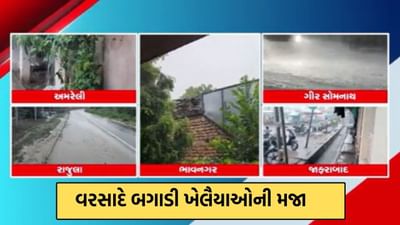 નવરાત્રીના અંતિમ દિવસોમાં વિધ્ન બન્યો વરસાદ, અમરેલી, ગીર સોમનાથ, ભાવનગરમાં મેઘરાજાએ બોલાવી રમઝટ- Video નવરાત્રીના અંતિમ દિવસોમાં વિધ્ન બન્યો વરસાદ, અમરેલી, ગીર સોમનાથ, ભાવનગરમાં મેઘરાજાએ બોલાવી રમઝટ- Video