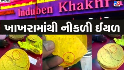 અમદાવાદના પ્રખ્યાત ઇન્દુબેન ખાખરાવાળાના ખાખરામાંથી નીકળી ઈયળ, ગ્રાહકે ઠાલવ્યો રોષ, જુઓ Video અમદાવાદના પ્રખ્યાત ઇન્દુબેન ખાખરાવાળાના ખાખરામાંથી નીકળી ઈયળ, ગ્રાહકે ઠાલવ્યો રોષ, જુઓ Video