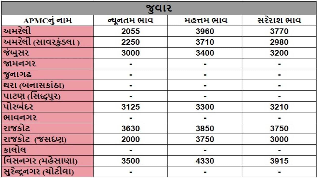 જુવારના તા.07-10-2024ના રોજ APMCના ભાવ રૂ.2000 થી 4330 રહ્યા.