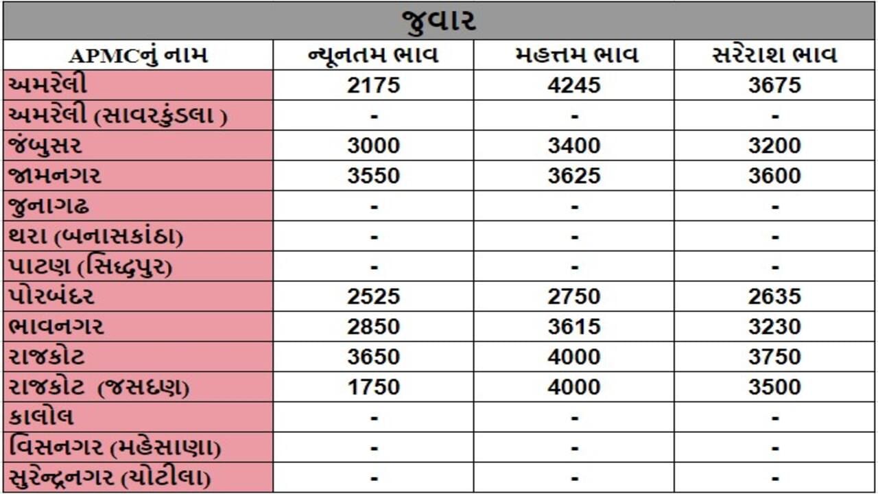 જુવારના તા.14-10-2024ના રોજ APMCના ભાવ રૂ.1750 થી 4245 રહ્યા.