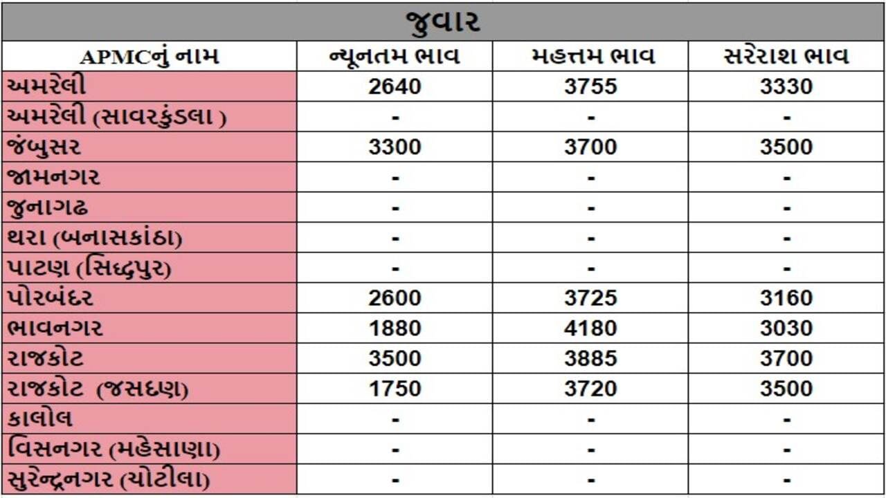 જુવારના તા.17-10-2024ના રોજ APMCના ભાવ રૂ.1750 થી 4180 રહ્યા.