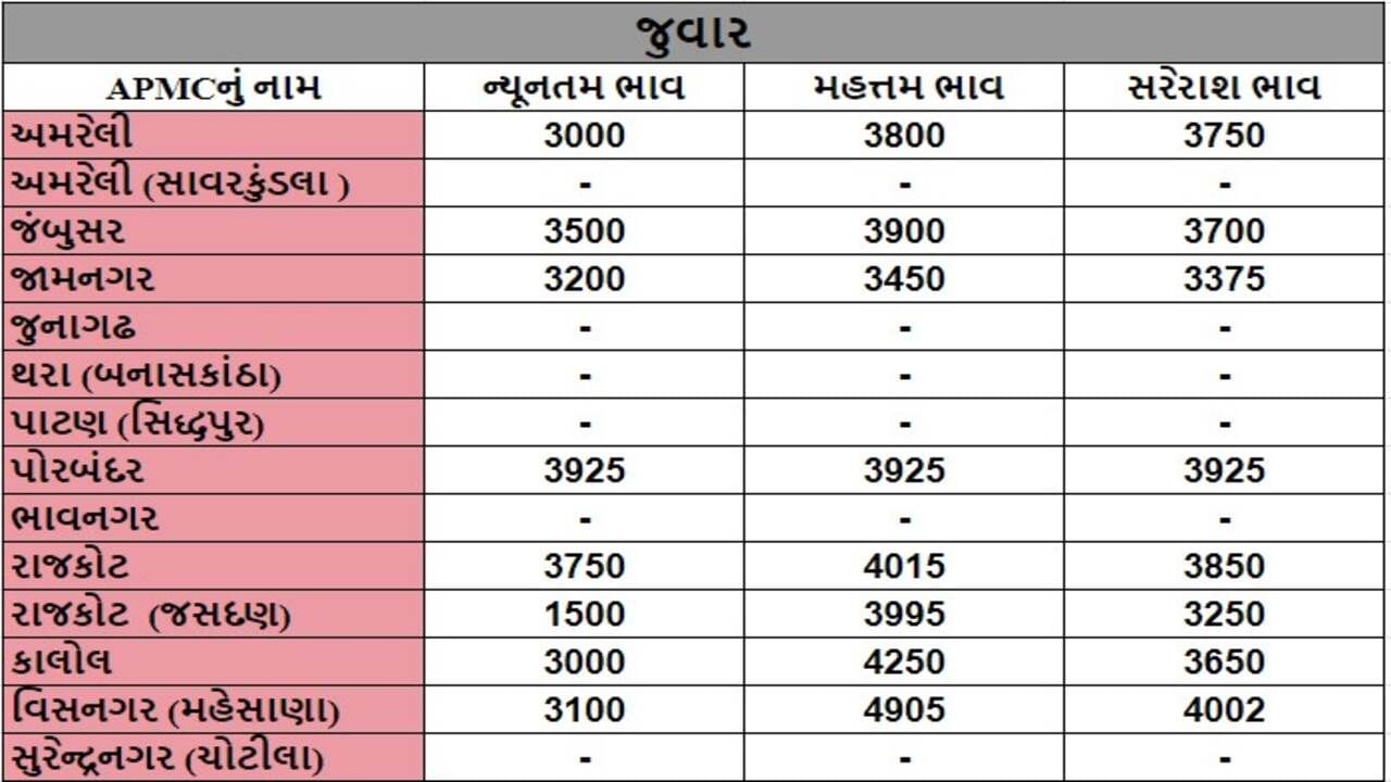 જુવારના તા.01-10-2024ના રોજ APMCના ભાવ રૂ.1500 થી 4905 રહ્યા.