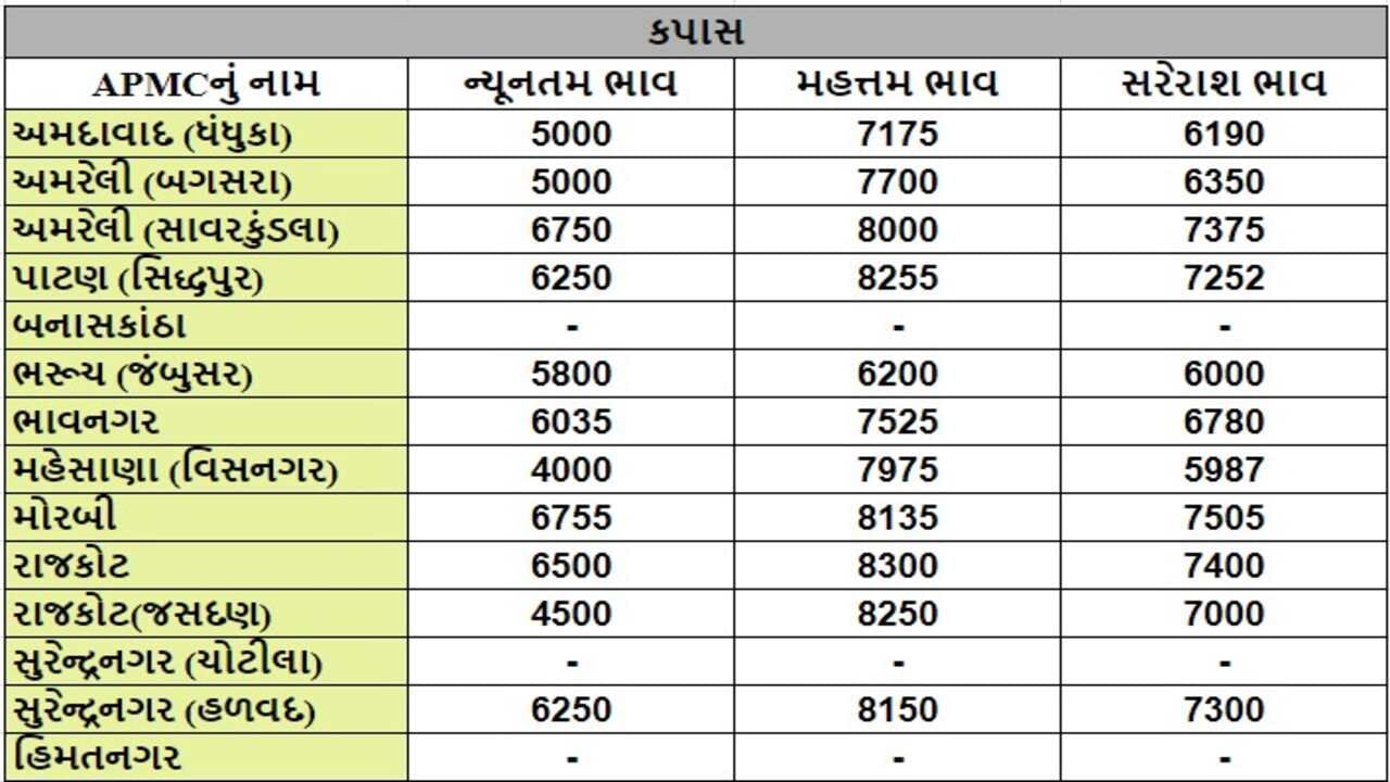 કપાસના તા.07-10-2024ના રોજ APMCના ભાવ રૂ.4000 થી 8300 રહ્યા.