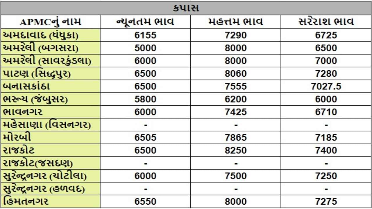 કપાસના તા.22-10-2024ના રોજ APMCના ભાવ રૂ.5000 થી 8250 રહ્યા.