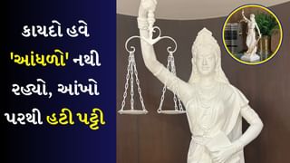 Supreme Court : ભારતમાં કાયદો હવે ‘આંધળો’ નથી રહ્યો…ન્યાયની દેવીની આંખો પરથી હટાવી પટ્ટી, તલવારની જગ્યા લીધી સંવિધાને