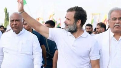 મલ્લિકાર્જુન ખડગેનો જન્મ કર્ણાટકમાં એક દલિત પરિવારમાં સાંઈબાવવા અને મપન્ના ખડગેને ત્યાં થયો હતો.1948માં હૈદરાબાદના નિઝામ દ્વારા લાગેલી આગમાં ખડગેએ તેમની માતા અને બહેનને ગુમાવ્યા હતા,