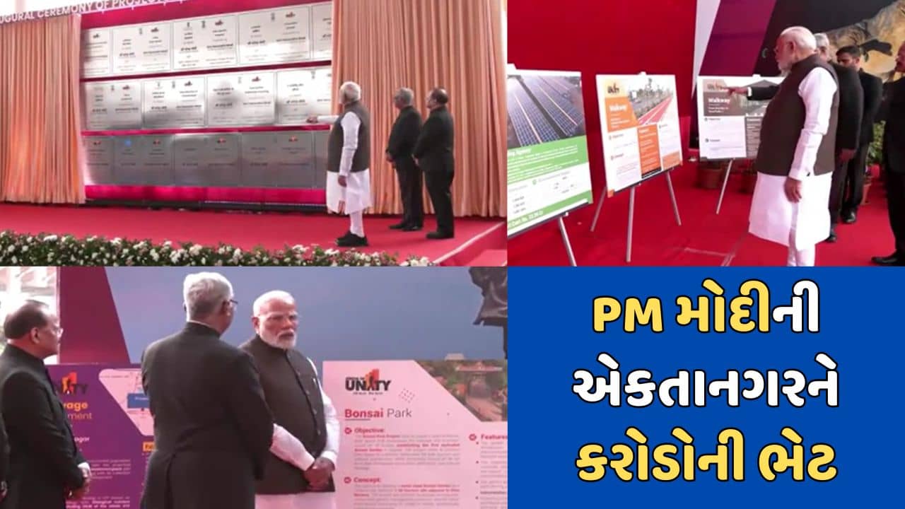 દિવાળી પહેલા PMની સોગાત, વડાપ્રધાન નરેન્દ્ર મોદીએ કેવડિયા ખાતે રૂ.284 કરોડના વિકાસકાર્યોની આપી ભેટ