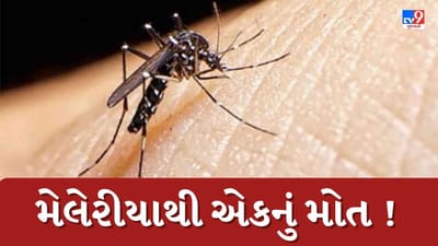 સુરતમાં વકર્યો રોગચાળો, શ્રમિક યુવકનું મેલેરિયાથી મોત ! જુઓ Video સુરતમાં વકર્યો રોગચાળો, શ્રમિક યુવકનું મેલેરિયાથી મોત ! જુઓ Video