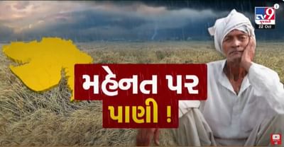 રાજકોટ: લોધિકાના ખીરસરા ગામના ખેડૂતોને પાછોતરા વરસાદે રડાવ્યા, ખેતરોમાં જોવા મળ્યા તારાજીના દૃશ્યો- Video