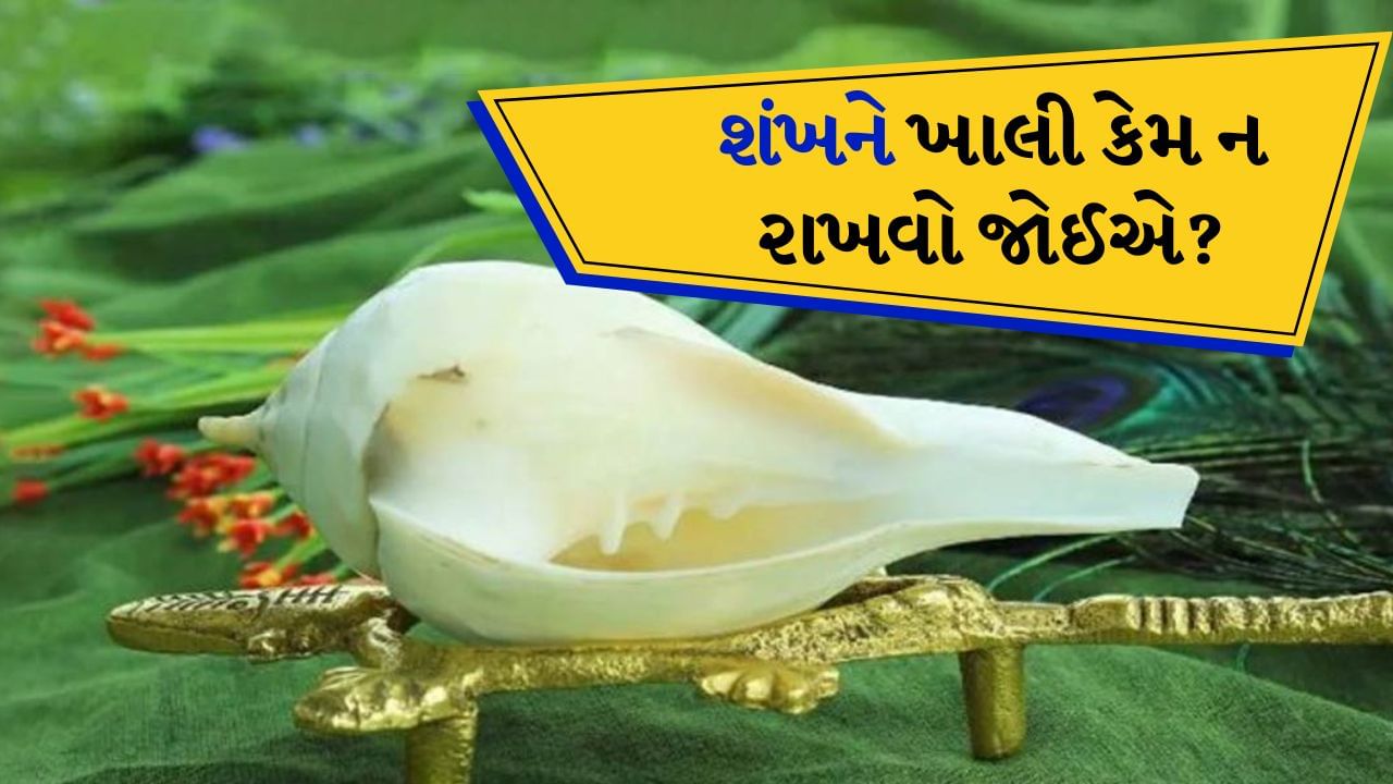 Shankh Vastu Tips : ઘર કે મંદિરમાં શંખ ​​રાખવાથી ધાર્મિક લાભ તો થાય જ છે પરંતુ વાસ્તુશાસ્ત્ર અનુસાર તેને શુભ પણ માનવામાં આવે છે. જો કે શંખ રાખવાના કેટલાક નિયમો છે જેમ કે શંખ હંમેશા ઉત્તર દિશામાં રાખવો જોઈએ અને તેની નિયમિત પૂજા કરવી જરૂરી છે. આ નિયમોનું પાલન કરવાથી ઘરમાં સુખ, શાંતિ અને સમૃદ્ધિ બની રહે છે.
