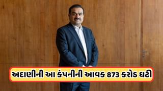 Adani Company Profit: 50% ઘટ્યો આ કંપનીનો નફો, અદાણીની દિગ્ગજ કંપનીઓમાં થાય છે તેનો સમાવેશ