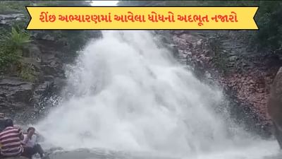 રતનમહાલ રીંછ અભ્યારણમાં આવેલા ધોધને પ્રવાસીઓ માટે ખુલ્લો મુકાયો, જુઓ ધોધનો અદભૂત Video રતનમહાલ રીંછ અભ્યારણમાં આવેલા ધોધને પ્રવાસીઓ માટે ખુલ્લો મુકાયો, જુઓ ધોધનો અદભૂત Video