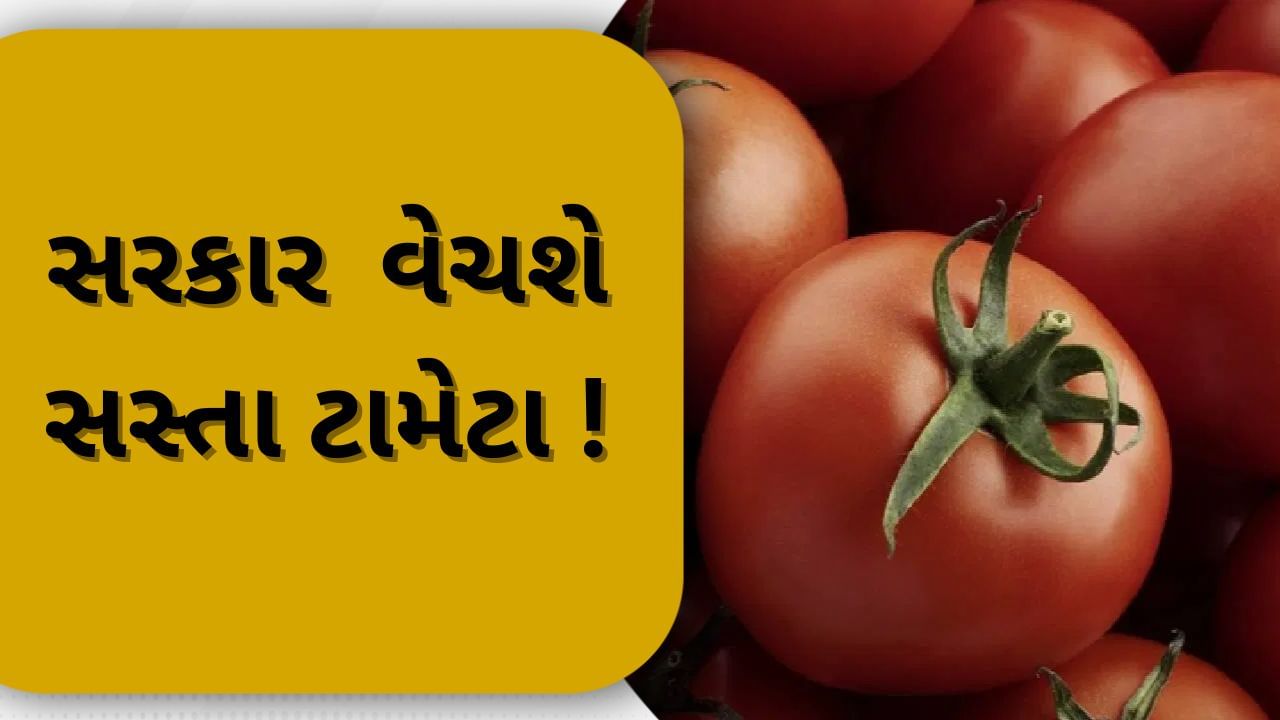 Government's preparation to overcome inflation, government will sell tomato at 65 rupees per kg