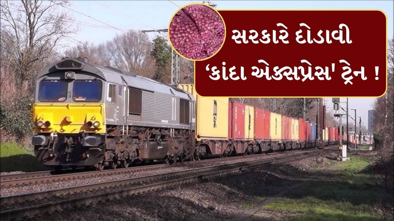 Maharashtra Video : ડુંગળીના વધતા ભાવોને કાબૂમાં લેવા સરકારે દોડાવી સ્પેશિયલ ટ્રેન ! નાસિકથી દિલ્હી મોકલવામાં આવી ડુંગળી
