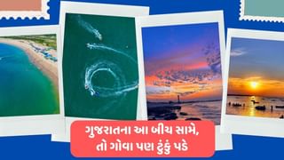 Travel Tips : જો તમે  પણ બીચની મુલાકાત લેવાનો પ્લાન બનાવી રહ્યા છો, તો ગુજરાતના આ બીચ બેસ્ટ રહેશે