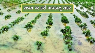 હવામાન નિષ્ણાંત અંબાલાલ પટેલની મોટી આગાહી, ગુજરાતના આ ભાગોમાં ફરી થશે માવઠુ – Video