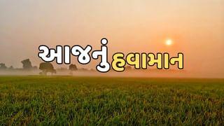 આજનું હવામાન :  જાણો આજે તમારા જિલ્લામાં કેવું રહેશે તાપમાન, જુઓ Video