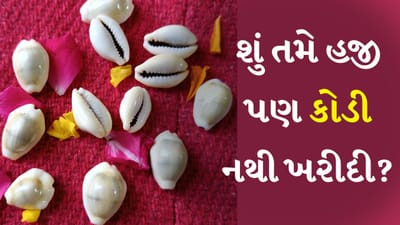 કોડીની પૂજા કરવાના ફાયદા (Kodi benefits) : સનાતન ધર્મમાં કોડીને વિશેષ મહત્વ આપવામાં આવ્યું છે. કોડીનો ઉપયોગ પૂજામાં પણ થાય છે. કોડીનો સંબંધ પૈસા સાથે છે. કહેવાય છે કે કોડીને તિજોરીમાં રાખવાથી દેવી લક્ષ્મીની કૃપા જળવાઈ રહે છે. કોડી વિના પૂજા અધૂરી રહી જાય છે. જ્યોતિષ શાસ્ત્ર અનુસાર કોડીની પૂજા કરવાથી વિશેષ આશીર્વાદ મળે છે.