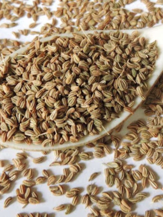 Ajwain Benefits : ક્યા લોકો માટે અજમો ખાવો ખૂબ ફાયદાકારક છે?