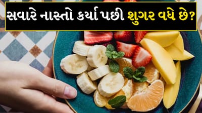 લોહીમાં શુગર વધી જવાની સ્થિતિને ડાયાબિટીસ કહેવામાં આવે છે. ડાયાબિટીસના દર્દીઓ માટે આહાર યોગ્ય રાખવો સૌથી જરૂરી છે, નહીં તો બ્લડ શુગર વધવાનો ડર રહે છે. ખોરાક ખાધા પછી કેટલાક લોકોની શુગર ઝડપથી વધે છે. આવી સ્થિતિમાં સવારની શરૂઆત હેલ્ધી બ્રેકફાસ્ટથી કરવી જોઈએ.