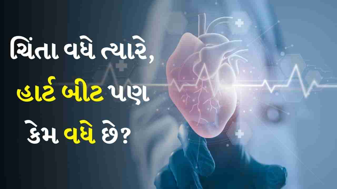 હોર્મોન્સ અને હાર્ટ વચ્ચે શું સંબંધ છે? પરિણામો પહેલા માત્ર આપણા જ નહીં નેતાઓના પણ કેમ વધે છે ધબકારા