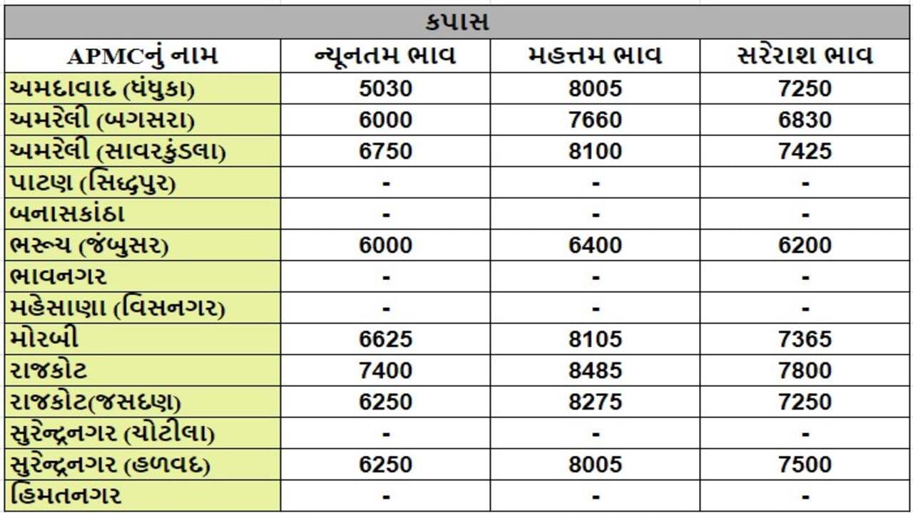 કપાસના તા.01-10-2024ના રોજ APMCના ભાવ રૂ.5030 થી 8485 રહ્યા.