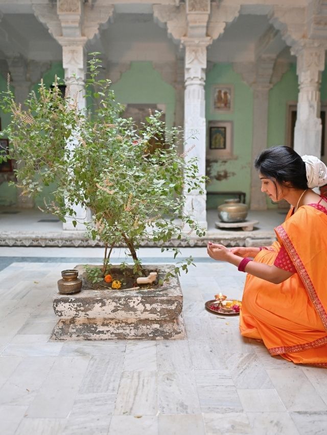 O que deve ser dito ao adorar Tulsi no mês de Kartak? descobrir