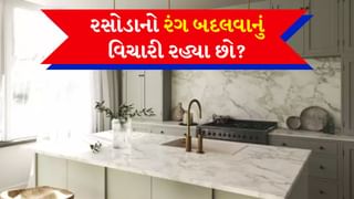 Kitchen Color Tips : 2024માં રસોડા માટે 5 કલર ટ્રેન્ડ, મોર્ડન અને સ્ટાઇલિશ લુક આપશે, આ દિવાળીએ કરાવો અલગ પેઇન્ટ