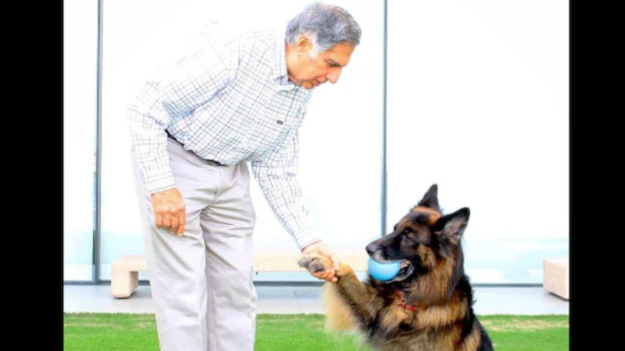 ratan tata dog love 1