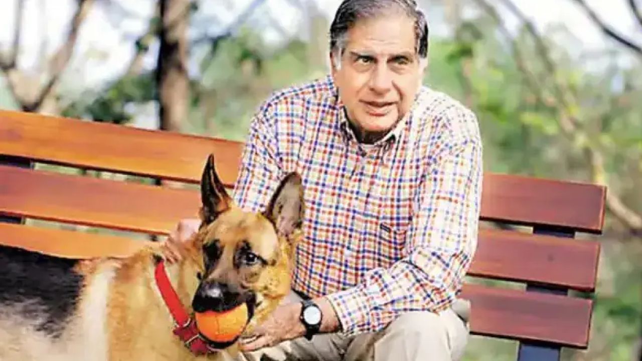 ratan tata dog love 3