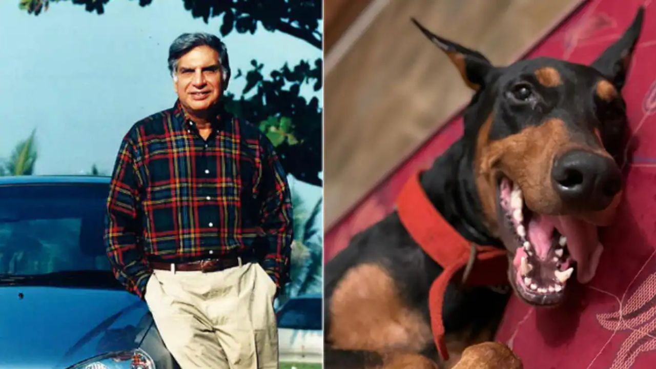 ratan tata dog love 6