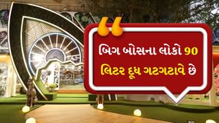 Bigg Boss 18 : દિવસમાં અઢી કિલો ચાની ભૂકી, 90 લિટર દૂધ ગટગટાવે છે, શોની ટીમ માટે છે આ ખાસ વ્યવસ્થા