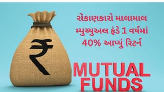 મલ્ટીકેપ મ્યુચ્યુઅલ ફંડ : 1 વર્ષમાં 40% આપ્યું રિટર્ન, રોકાણકારો બન્યા કરોડપતિ