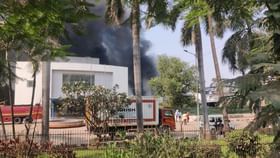 Valsad : વાપીની એક ખાનગી કંપનીમાં લાગી ભીષણ આગ, આસપાસના વિસ્તારમાં અફરાતફરીનો માહોલ, જુઓ Video