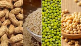 160 ખરીદ કેન્દ્રમાં ટેકાના ભાવે મગફળી, મગ, અડદ, સોયાબીનની કરાશે ખરીદી