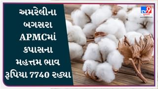 અમરેલીના બગસરા APMCમાં કપાસના મહત્તમ ભાવ રૂપિયા 7740 રહ્યા, જાણો જુદા-જુદા પાકના ભાવ