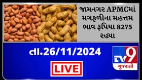 જામનગર APMCમાં મગફળીના મહત્તમ ભાવ રૂપિયા 8275 રહ્યા, જાણો