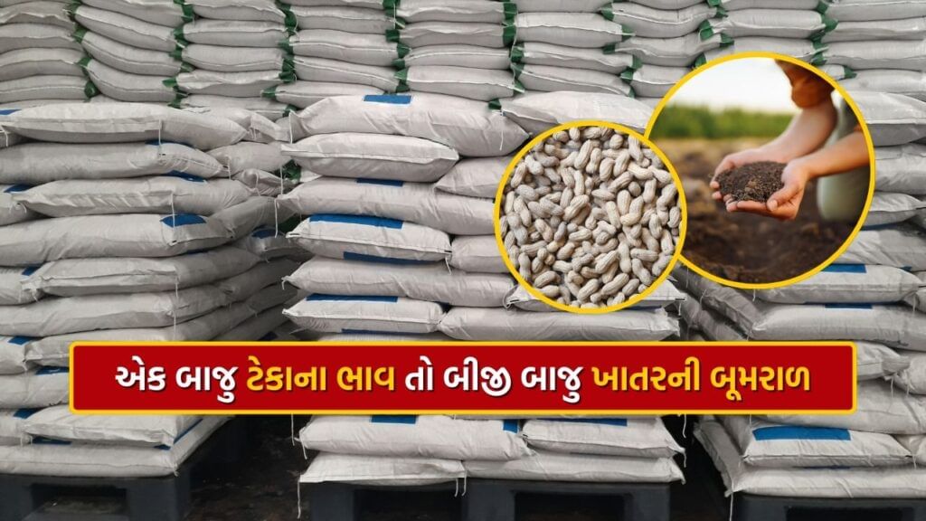 Agriculture News Farmers on Shortage of DAP Fertilizer Groundnuts MSP