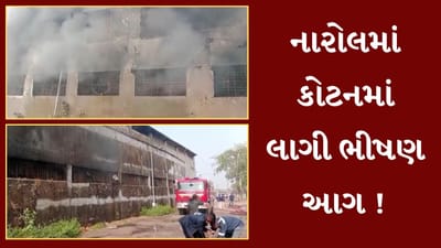Ahmedabad : નારોલ ખાતે આવેલા કોટનના ગોડાઉનમાં લાગી ભીષણ આગ, જુઓ Video